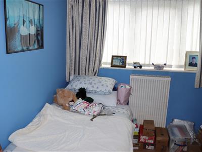Picture 13